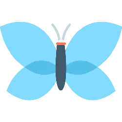 Butterfly - insect - symmetrical - High Resolution PNG