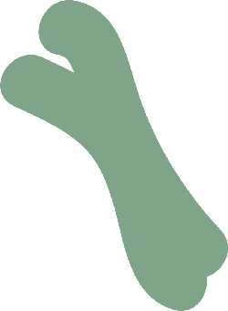 Bone - green - High Resolution PNG