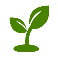 Green Plant Seedling - growth - High Resolution PNG