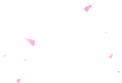 Pink Petals - petal - spring - No Watermark PNG