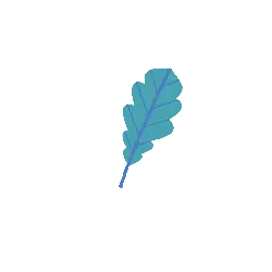 Blue Leaf - leaf - PNG