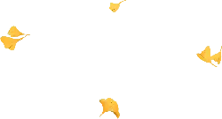 Ginkgo Leaf - nature - leaf - Free Download PNG