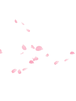 Pink Petals - Trending PNG - petal