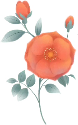 Rose - Highly Rated PNG - rose