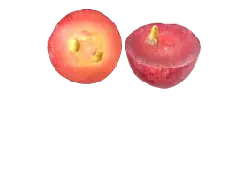 Apple - fruit - Lossless PNG