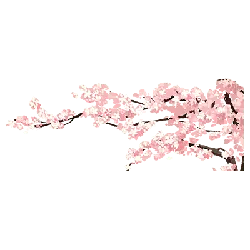 Cherry Blossom Tree - nature - Fast Download PNG
