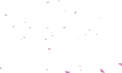 Pink Petals Falling - romantic - Free Download PNG