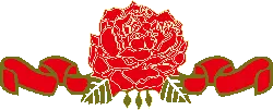 Red Rose - decoration - PNG Images
