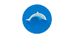 Dolphin - circle - Free PNG