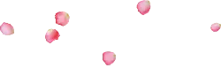 Pink Petals - Recommended PNG - background