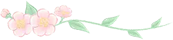 Peach Blossom - Trending PNG - plant