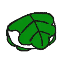 Leaf - nature - ecology - No Background PNG