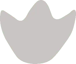 Gray Irregular Shape - graphic - High Resolution PNG