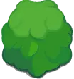 Lettuce - Trending PNG