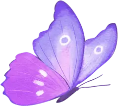Purple Butterfly - High Quality PNG
