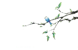 Blue Bird on a Branch - art - Lossless PNG
