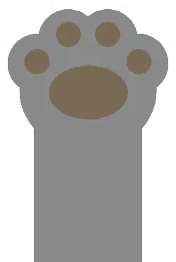 Cat Paw - Trending PNG