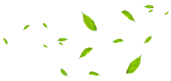 Falling Green Leaves - nature - falling - No Background PNG