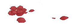 Red Petals - petal - High Resolution PNG