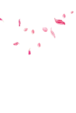 Pink Petals Falling - nature - background - Free Download PNG