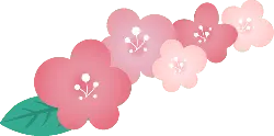 Cherry Blossom - spring - PNG Images