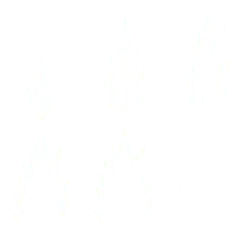 Flame Patterns - graphic design - Transparent Layer PNG