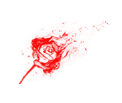 Red Rose - flame - Free PNG