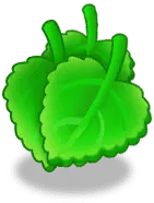 Three Green Leaves - Popular Download PNG