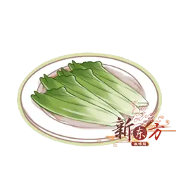 Chinese Cabbage - fresh - High Resolution PNG