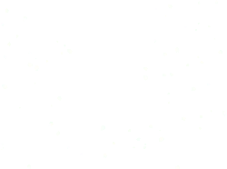 Cherry Blossom Petals Falling - petal - beautiful - Transparent Layer PNG