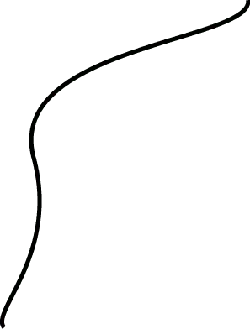 Black Cat - Popular Download PNG - black - Pic 23