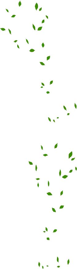 Green Leaves - green leaves - No Watermark PNG