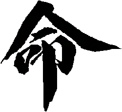 Line Drawing Pattern - design - High Resolution PNG