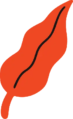 Red Leaf - simple - No Background PNG