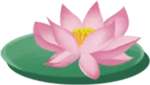 Lotus Flower - green - flower - No Watermark PNG
