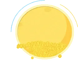 Coins Circle - treasure - No Watermark PNG