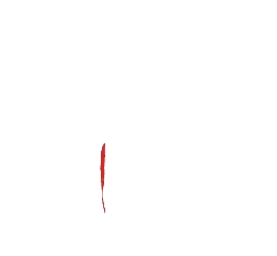 Red Feather - Free Download PNG