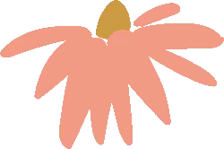 Pink Flower - pink - High Resolution PNG