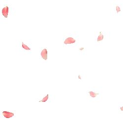 Pink Petals - Free PNG - background
