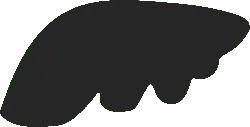 Black Irregular Shape - Curated PNG