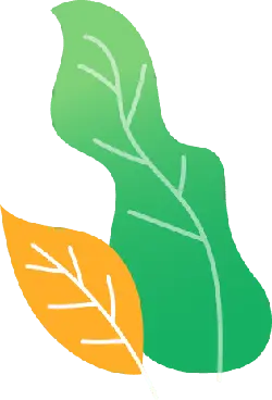 Two Leaves - leaves - PNG Images