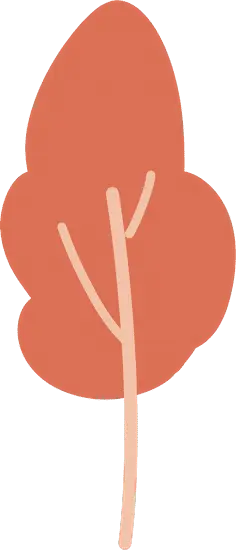 Tree - leaves - autumn - No Background PNG