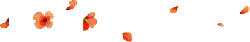 Petals - orange - Transparent Layer PNG