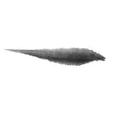 Black Cat - High Quality PNG - cat - Pic 4
