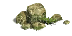 Rock and Plant - landscape - No Background PNG