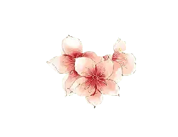 Pink Flowers - pink - Curated PNG