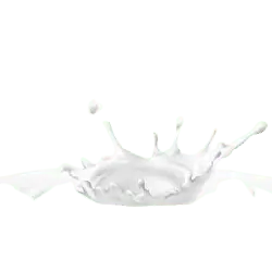 Milk Splash - Designer Recommended PNG - splash