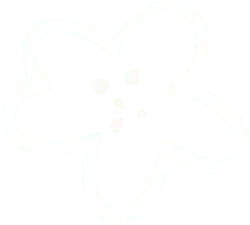 Clover - green - Designer Recommended PNG