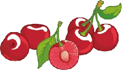 Cherry - juicy - Lossless PNG