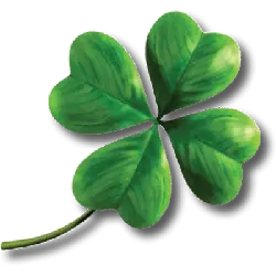 Four Leaf Clover - plant - lucky - No Background PNG